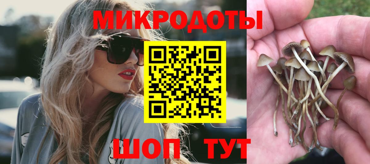 Железноводск  Галлюциногенные грибы Cubensis  Вход с VPN 